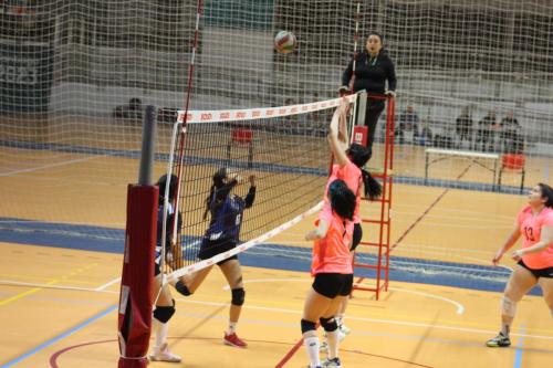 vs UDLA