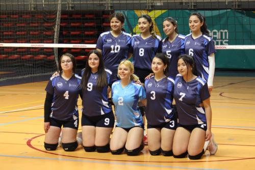 Voleibol Femenino 2024