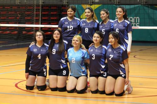 Voleibol Femenino