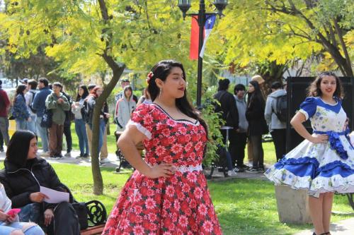 Fiestas Patrias 2024