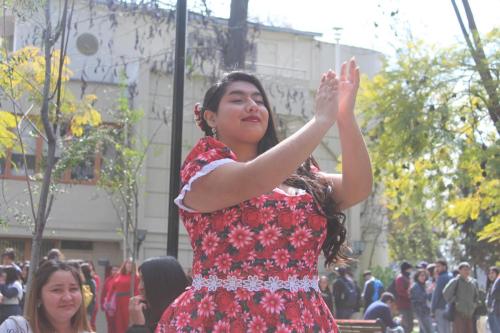 Fiestas Patrias 2024