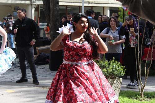 Fiestas Patrias 2024