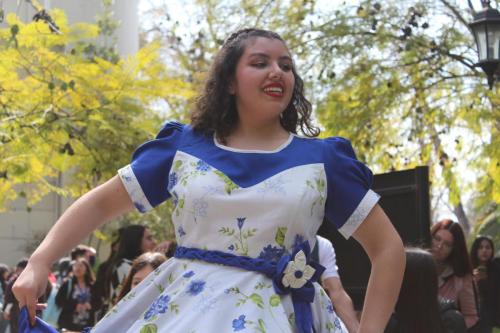 Fiestas Patrias 2024